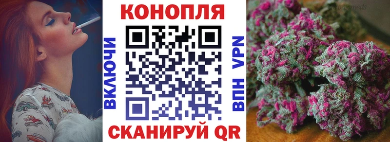 Конопля сатива  продажа наркотиков  Старый Оскол 